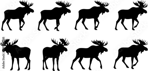 Moose silhouette icon set, black wild deer animals collection in various walking poses, forest wildlife symbols, nature hunting graphics, clean flat vector illustration isolated 
