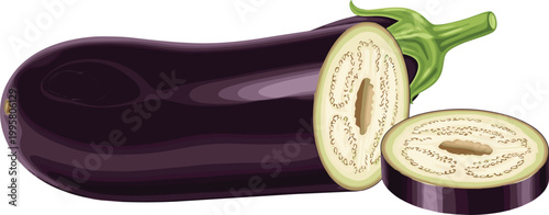 Eggplant Vegetable Illustration Featuring Whole and Sliced Aubergine with Fresh Purple Skin and Seeds for Cooking, Healthy Food, and Organic Produce Design