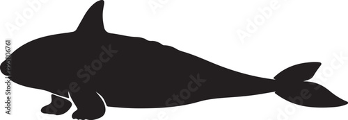 Silhouette of an orca whale against a white background