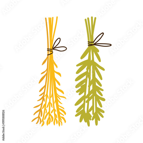 Magic herbs and plants. Witchcraft accessories, occult ritual tools cartoon vector illustration