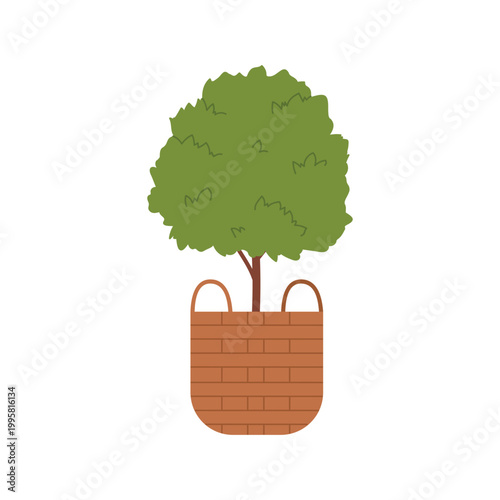 Decorative garden potted tree. Landscape decor plants, outdoor trimming bush cartoon vector illustration