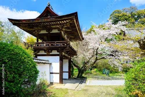 【奈良県】天理市 長岳寺 (2026/04/02撮影)