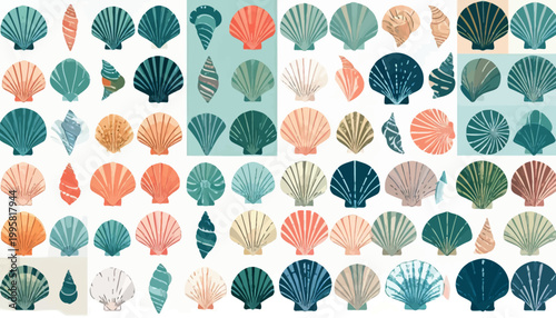 Colorful seashells in various shapes.