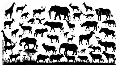 African savannah wildlife silhouette animals.