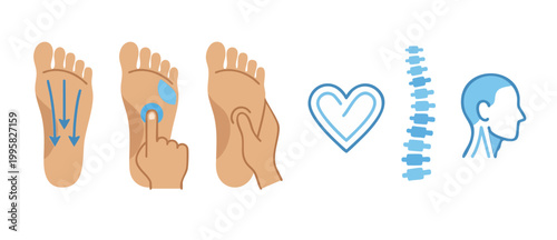 Foot Reflexology Chart Therapy Massage Points Guide showing pressure techniques on the sole, spine alignment, heart health, and head relaxation icons for professional alternative medicine treatment ed