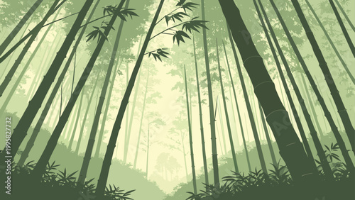 Serene bamboo forest looking upwards into the tall green stalks with woodland