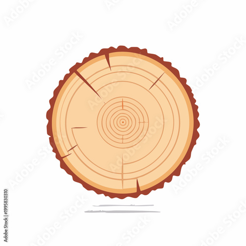 Cross section of a tree trunk with annual growth rings, wood texture graphic