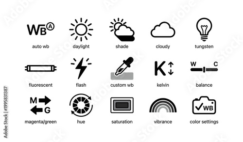 White balance and color settings icons arranged in grid
