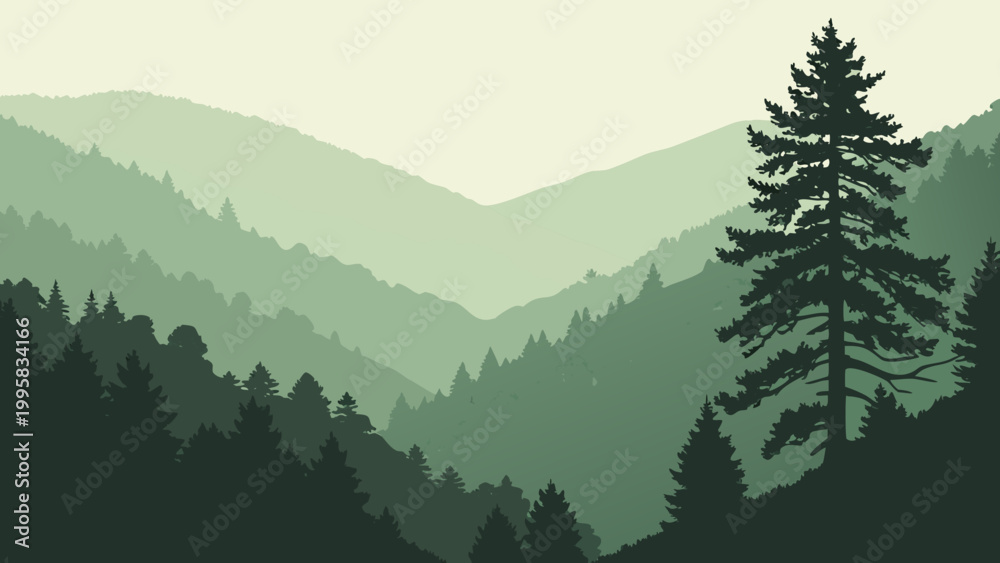 Fototapeta premium Misty mountain range covered in dense pine forest landscape with mountain