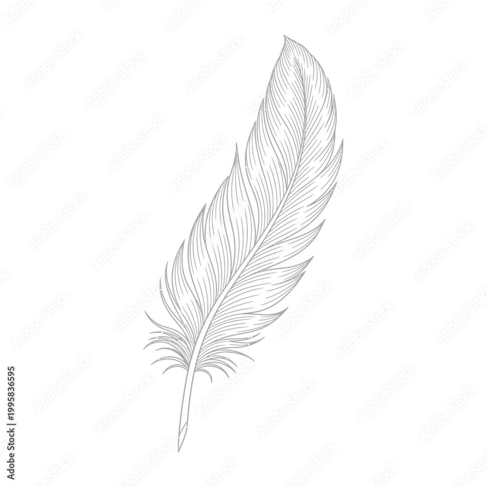 Obraz premium Elegant Feather Sketch, Delicate Plume Drawing, Minimalist Vector Art