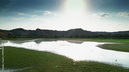 Nallihan Bird Paradise 