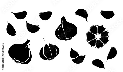 Black Garlic Bulbs and Cloves Vector Illustration Isolated on White Background natural, fresh, vegan, herb, seasoning, isolate