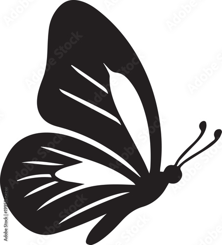 Butterfly Landing Insect Nature Silhouettes