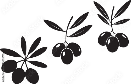 Black and white illustration of olive branches with ripening fruit
