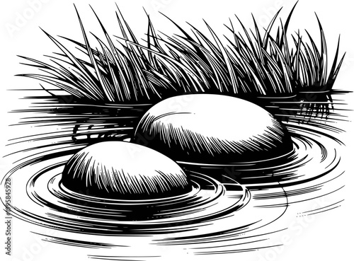 Smooth stones submerged in rippling water with tall grass ripple nature