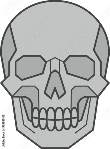 Stylized gray skull illustration a minimalist depiction of human cranium