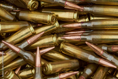 metal bullets for the gun