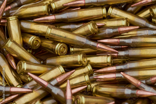 metal bullets for the gun