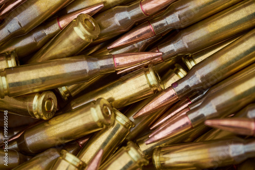 metal bullets for the gun