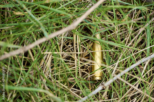 metal bullets for the gun