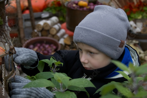 Boy in Gray Beanie Examines Cage in Autumn Market with Pumpkins