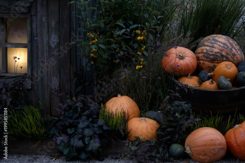 Autumn Still Life with Pumpkins, Squashes and Glowing Window