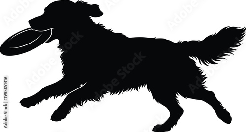 Silhouette of Golden Retriever dog running with frisbee in mouth for pet or sports design