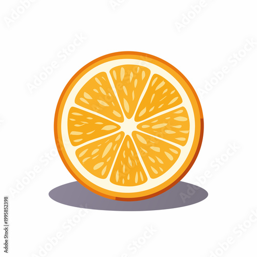 Illustration of a fresh orange slice with shadow