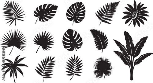 A set of various tropical leaf silhouettes including monstera, palm fronds, and banana leaves isolated on a white background.