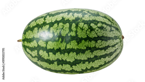 Large striped watermelon fruit with stem on a plain surface