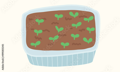 Seedlings in a growing box. Microgreens, organic farm produce, salad greens.