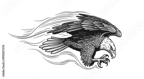A soaring eagle spreads its majestic wings in a dynamic flying motion with fierce expression.