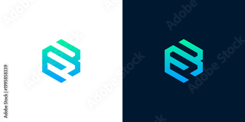 Hexagonal logo design in blue and green gradients with abstract letters B and S