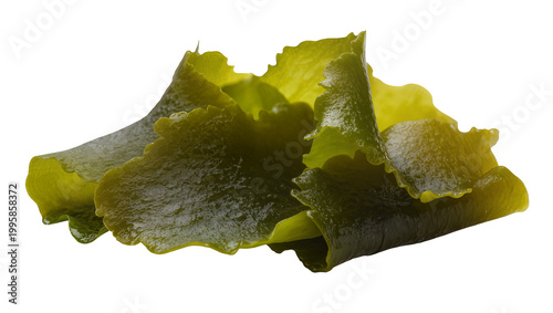 Wrinkled dark green seaweed sheet with white speckles