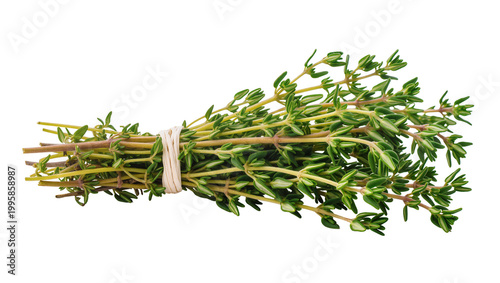 Bound Fresh Thyme Sprigs with Beige Twine