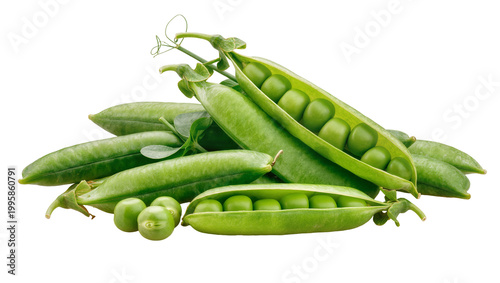 Tableau sur toile Fresh green pea pods and peas arranged in a pile