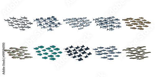 Set of Various Fish Schools Icons