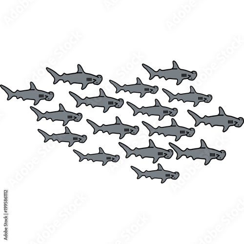 School of Hammerhead Sharks Vector