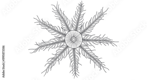 Vintage Sea Star Illustration