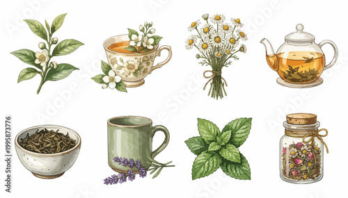 Delicate herbal tea ingredients, brewing cup, and fragrant botanicals for a soothing beverage