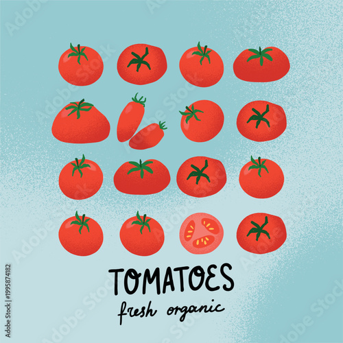 Tomatoes card. Hand drawn vegetable assortment with whole and sliced pieces, fresh produce local food, organic farming and grocery market food concept. Vector cartoon isolated illustration