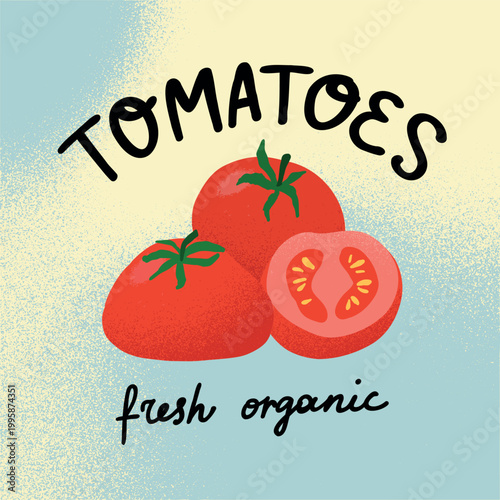 Tomatoes poster. Square card. Hand drawn vegetable with whole and sliced pieces, fresh produce local food, organic farming and grocery market food concept. Vector cartoon flat illustration
