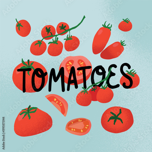 Tomatoes poster or card. Hand drawn vegetable with whole and sliced pieces, fresh produce local food, organic farming and grocery market food background. Vector cartoon isolated illustration