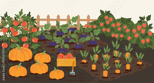 Organic vegetable garden with pumpkins, tomatoes, carrots and raspberries, autumn harvest in the backyard, rural farming landscape vector illustration