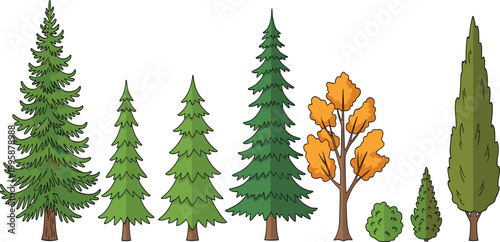 Tree Collection with Pine, Spruce, Fir, and Deciduous Trees for Forest Landscape and Nature Vector Illustration Set.
