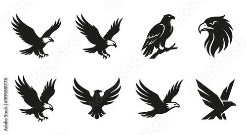Collection of black and white eagle illustrations in various poses