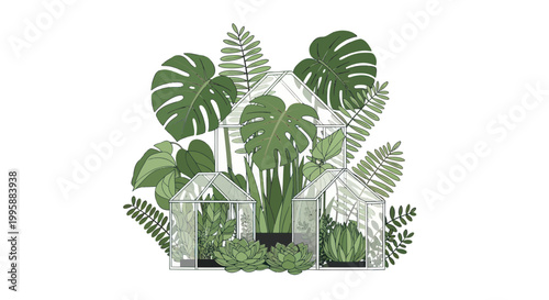 Greenhouse Illustration with Tropical Plants and Ferns