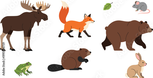 Photography Forest Animals Set with Moose, Fox, Bear, Beaver, Rabbit, Frog, and Mouse for Wildlife Vector Illustration