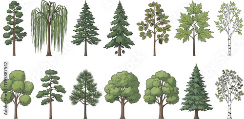 Hand Drawn Tree Collection with Various Forest Species for Botanical and Nature Vector Illustration.