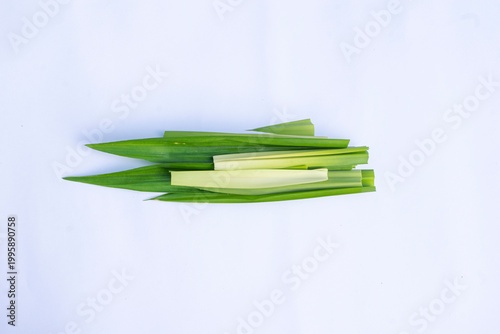 Pandan leaves (Pandanus amaryllifolius) on a white background. Pandan leaves are a basic cooking ingredient